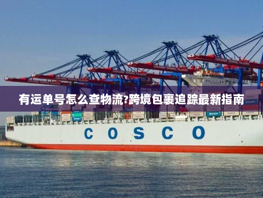 有运单号怎么查物流?跨境包裹追踪最新指南