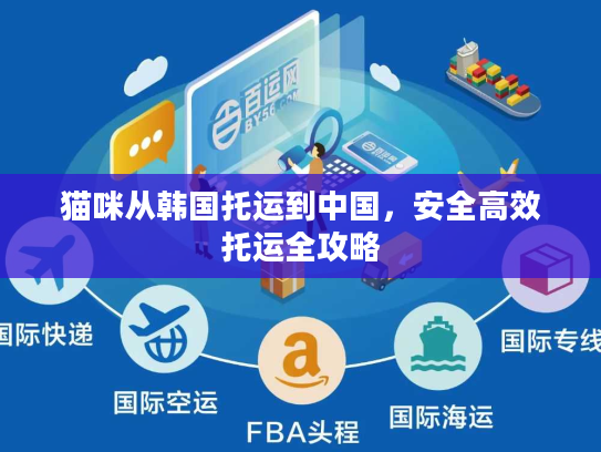 猫咪从韩国托运到中国，安全高效托运全攻略