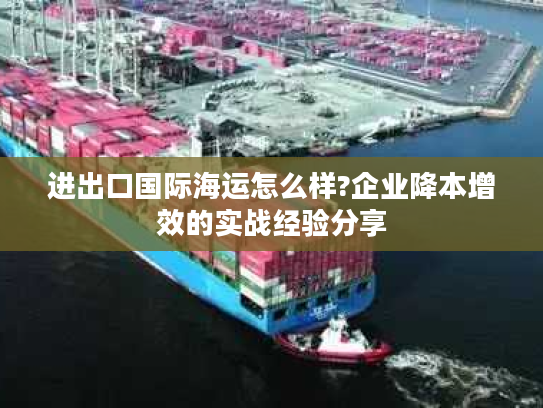 进出口国际海运怎么样?企业降本增效的实战经验分享