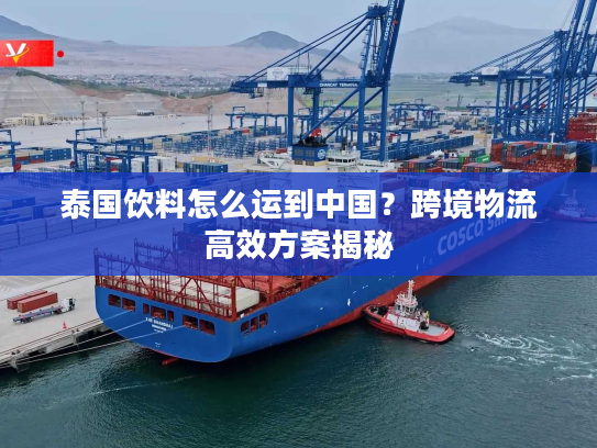 泰国饮料怎么运到中国?跨境物流高效方案揭秘 泰国饮料怎么运到中国?跨境物流高效方案揭秘