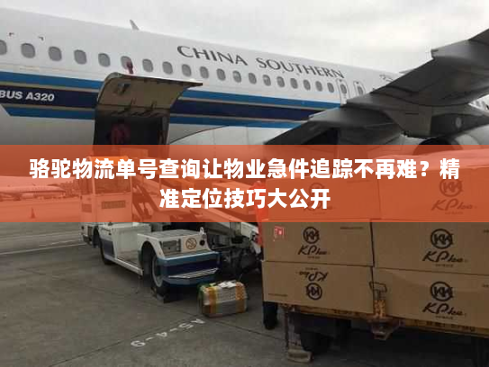 骆驼物流单号查询让物业急件追踪不再难?精准定位技巧大公开 骆驼物流单号查询让物业急件追踪不再难?精准定位技巧大公开