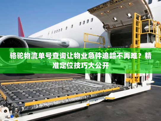 骆驼物流单号查询让物业急件追踪不再难?精准定位技巧大公开 骆驼物流单号查询让物业急件追踪不再难?精准定位技巧大公开