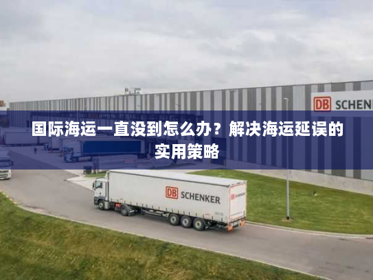 国际海运一直没到怎么办？解决海运延误的实用策略