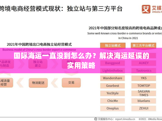 国际海运一直没到怎么办？解决海运延误的实用策略