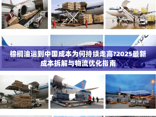 棕榈油运到中国成本为何持续走高?2025最新成本拆解与物流优化指南 棕榈油运到中国成本为何持续走高?2025最新成本拆解与物流优化指南