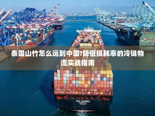 泰国山竹怎么运到中国?降低损耗率的冷链物流实战指南