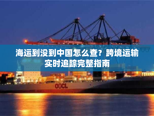 海运到没到中国怎么查？跨境运输实时追踪完整指南