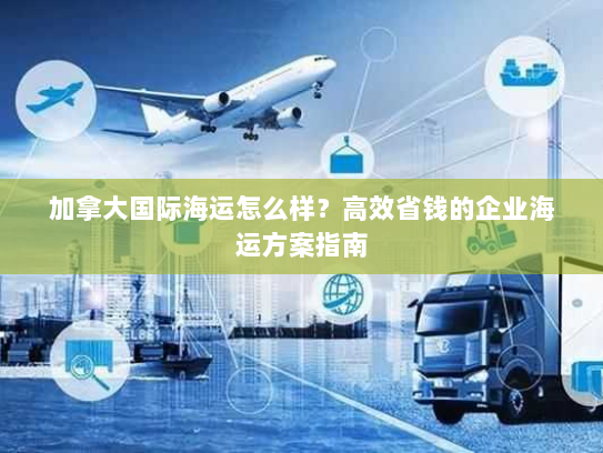 加拿大国际海运怎么样？高效省钱的企业海运方案指南