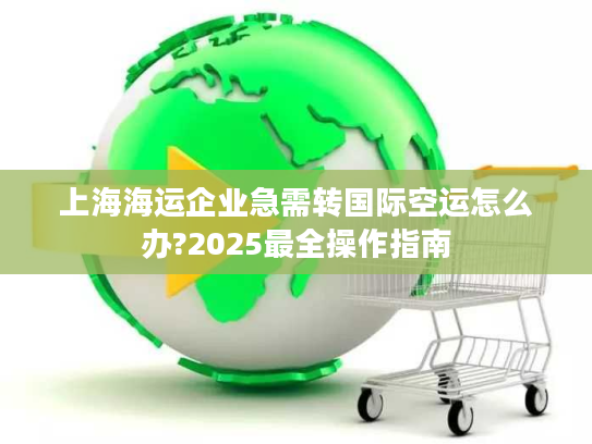上海海运企业急需转国际空运怎么办?2025最全操作指南