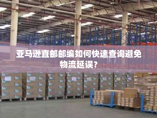 亚马逊直邮邮编如何快速查询避免物流延误？