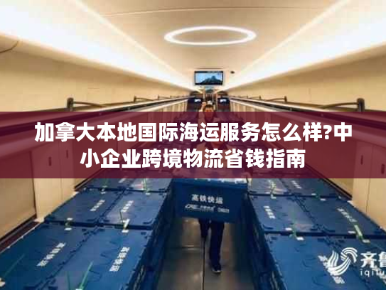 加拿大本地国际海运服务怎么样?中小企业跨境物流省钱指南