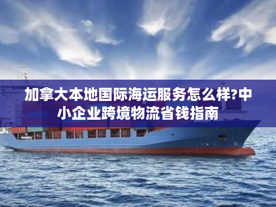 加拿大本地国际海运服务怎么样?中小企业跨境物流省钱指南