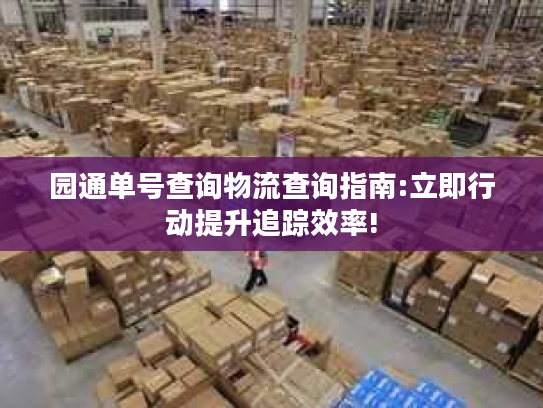 园通单号查询物流查询指南:立即行动提升追踪效率!