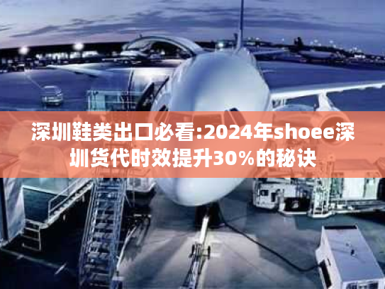 深圳鞋类出口必看:2024年shoee深圳货代时效提升30%的秘诀