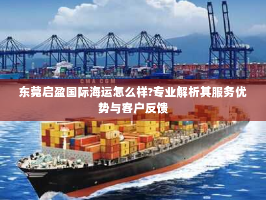 东莞启盈国际海运怎么样?专业解析其服务优势与客户反馈 东莞启盈国际海运怎么样?专业解析其服务优势与客户反馈