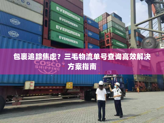 包裹追踪焦虑？三毛物流单号查询高效解决方案指南