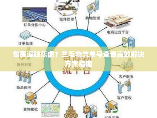 包裹追踪焦虑？三毛物流单号查询高效解决方案指南