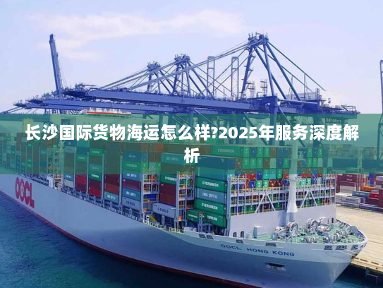 长沙国际货物海运怎么样?2025年服务深度解析 长沙国际货物海运怎么样?2025年服务深度解析