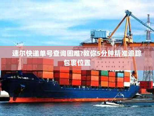 速尔快递单号查询困难?教你5分钟精准追踪包裹位置