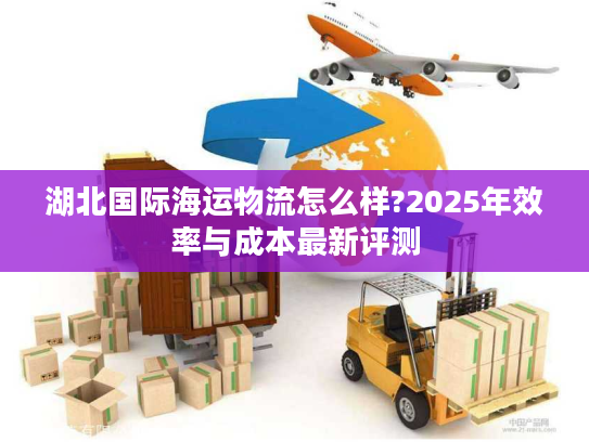 湖北国际海运物流怎么样?2025年效率与成本最新评测