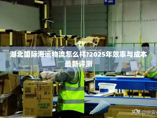 湖北国际海运物流怎么样?2025年效率与成本最新评测 湖北国际海运物流怎么样?2025年效率与成本最新评测