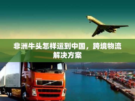 非洲牛头怎样运到中国,跨境物流解决方案 非洲牛头怎样运到中国,跨境物流解决方案