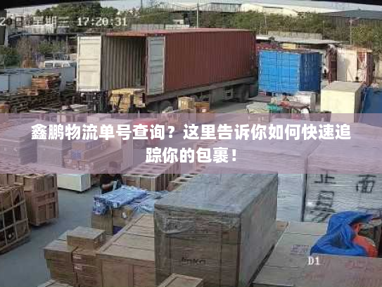 鑫鹏物流单号查询？这里告诉你如何快速追踪你的包裹！