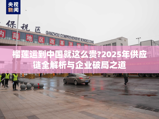 榴莲运到中国就这么贵?2025年供应链全解析与企业破局之道 榴莲运到中国就这么贵?2025年供应链全解析与企业破局之道