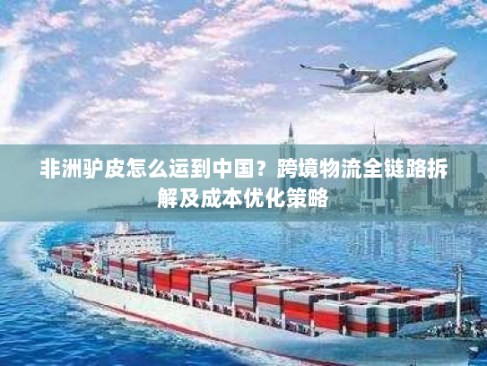 非洲驴皮怎么运到中国?跨境物流全链路拆解及成本优化策略 非洲驴皮怎么运到中国?跨境物流全链路拆解及成本优化策略