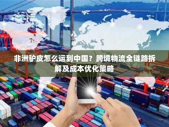 非洲驴皮怎么运到中国?跨境物流全链路拆解及成本优化策略 非洲驴皮怎么运到中国?跨境物流全链路拆解及成本优化策略