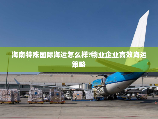 海南特殊国际海运怎么样?物业企业高效海运策略 海南特殊国际海运怎么样?物业企业高效海运策略