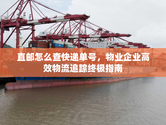 直邮怎么查快递单号，物业企业高效物流追踪终极指南