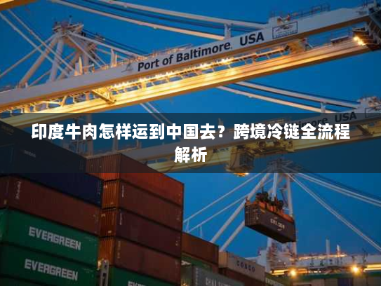 印度牛肉怎样运到中国去?跨境冷链全流程解析 印度牛肉怎样运到中国去?跨境冷链全流程解析
