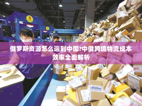 俄罗斯资源怎么运到中国?中俄跨境物流成本效率全面解析 俄罗斯资源怎么运到中国?中俄跨境物流成本效率全面解析