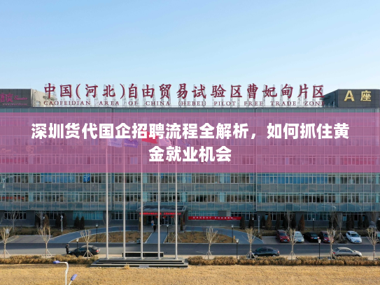 深圳货代国企招聘流程全解析,如何抓住黄金就业机会 深圳货代国企招聘流程全解析,如何抓住黄金就业机会