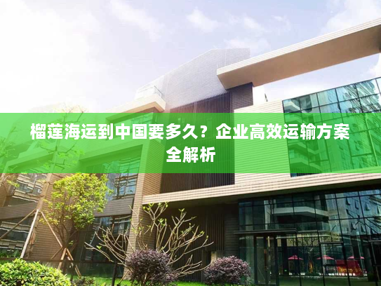 榴莲海运到中国要多久?企业高效运输方案全解析 榴莲海运到中国要多久?企业高效运输方案全解析