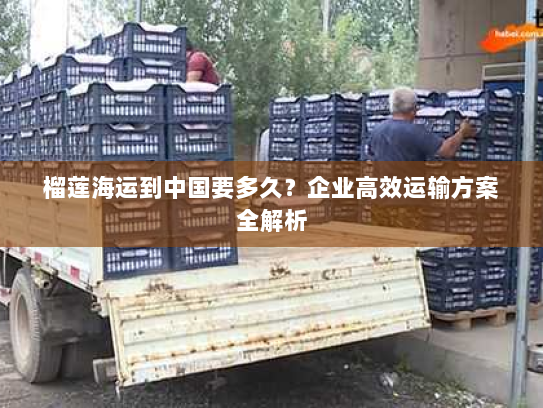 榴莲海运到中国要多久?企业高效运输方案全解析 榴莲海运到中国要多久?企业高效运输方案全解析