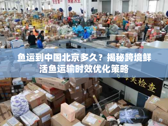 鱼运到中国北京多久？揭秘跨境鲜活鱼运输时效优化策略