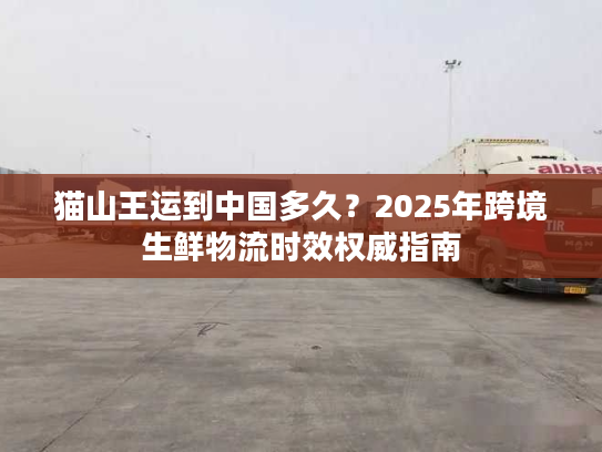 猫山王运到中国多久？2025年跨境生鲜物流时效权威指南