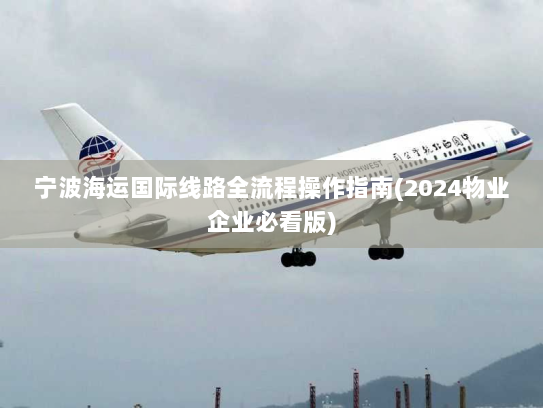 宁波海运国际线路全流程操作指南(2024物业企业必看版) 宁波海运国际线路全流程操作指南(2024物业企业必看版)