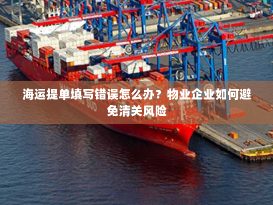 海运提单填写错误怎么办？物业企业如何避免清关风险