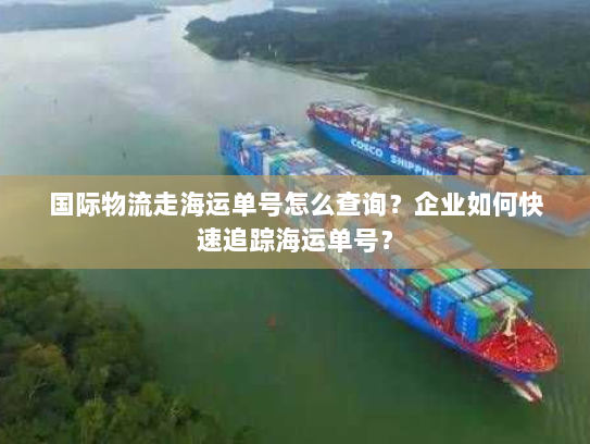 国际物流走海运单号怎么查询?企业如何快速追踪海运单号? 国际物流走海运单号怎么查询?企业如何快速追踪海运单号?