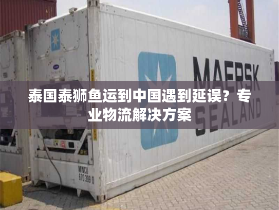 泰国泰狮鱼运到中国遇到延误?专业物流解决方案 泰国泰狮鱼运到中国遇到延误?专业物流解决方案