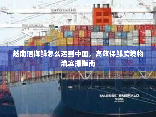 越南活海鲜怎么运到中国，高效保鲜跨境物流实操指南