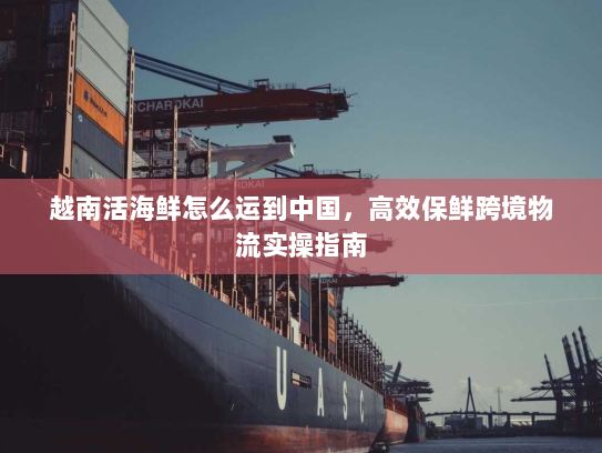 越南活海鲜怎么运到中国,高效保鲜跨境物流实操指南 越南活海鲜怎么运到中国,高效保鲜跨境物流实操指南