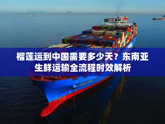 榴莲运到中国需要多少天?东南亚生鲜运输全流程时效解析 榴莲运到中国需要多少天?东南亚生鲜运输全流程时效解析