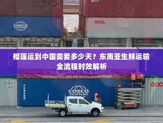 榴莲运到中国需要多少天？东南亚生鲜运输全流程时效解析