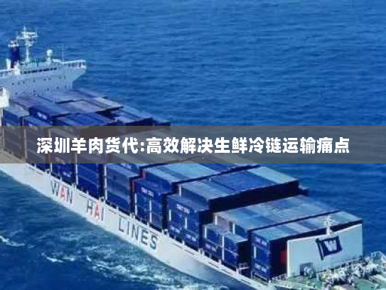 深圳羊肉货代:高效解决生鲜冷链运输痛点 深圳羊肉货代:高效解决生鲜冷链运输痛点