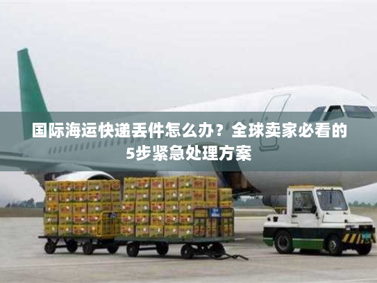 国际海运快递丢件怎么办?全球卖家必看的5步紧急处理方案 国际海运快递丢件怎么办?全球卖家必看的5步紧急处理方案