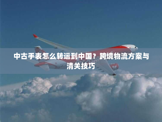 中古手表怎么转运到中国?跨境物流方案与清关技巧 中古手表怎么转运到中国?跨境物流方案与清关技巧